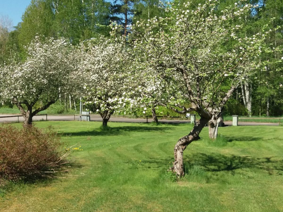 Myb&B & Guesthouse Lonneberga-Silverdalen Экстерьер фото